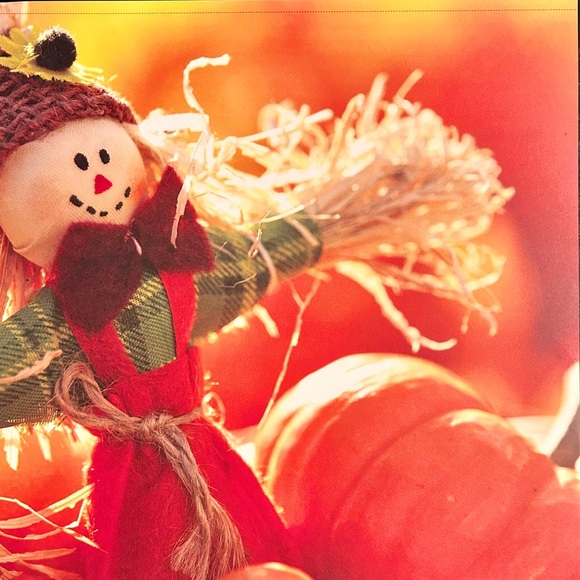 Fall Scrapbook Paper! Beautiful Autumn Colors! 12x12 Premium Card Stock! - Picture 12 of 13